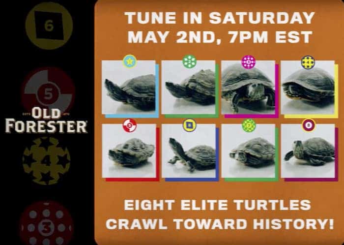 Kentucky Turtle Derby
