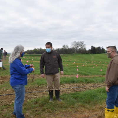 Laura DeWald (L) instructs Master Distller Harlen Wheatley (C) and Warehouse Manager Patrick Clouse (R) from Buffalo Trace how to plant seedlings