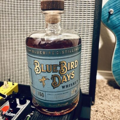 Bluebird Days review
