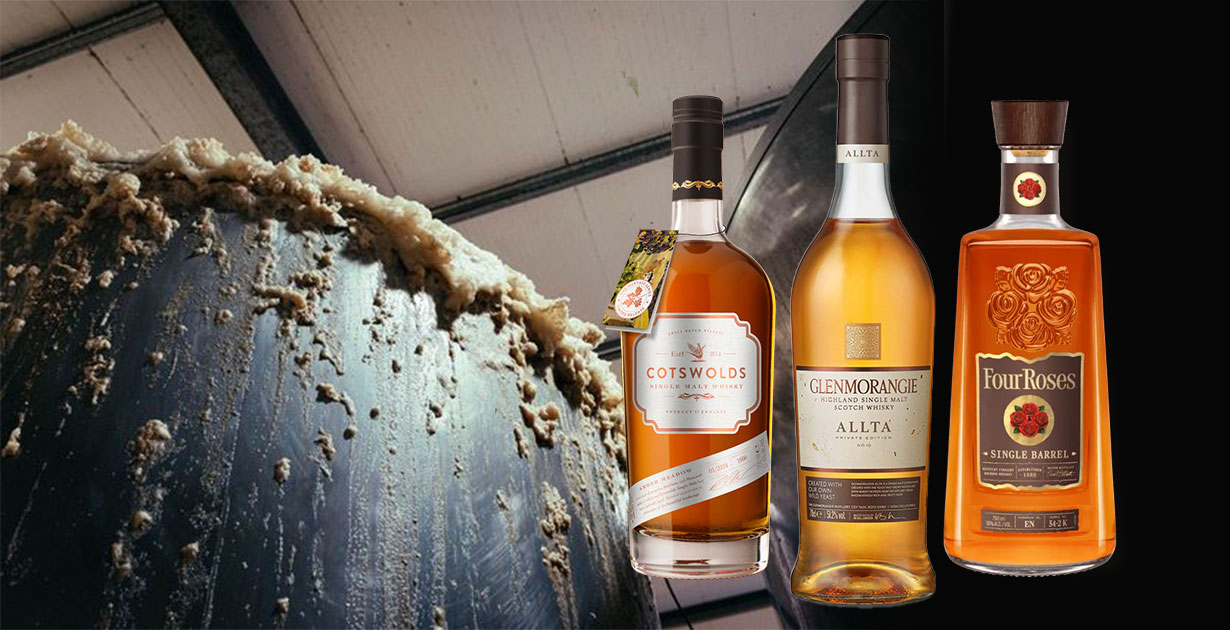 Scotch vs. American vs. English Whisky: The Yeast Divide