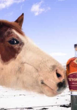 Whistlepig Old World Series: Sauternes Finish...and a horse. (image via Whistlepig)